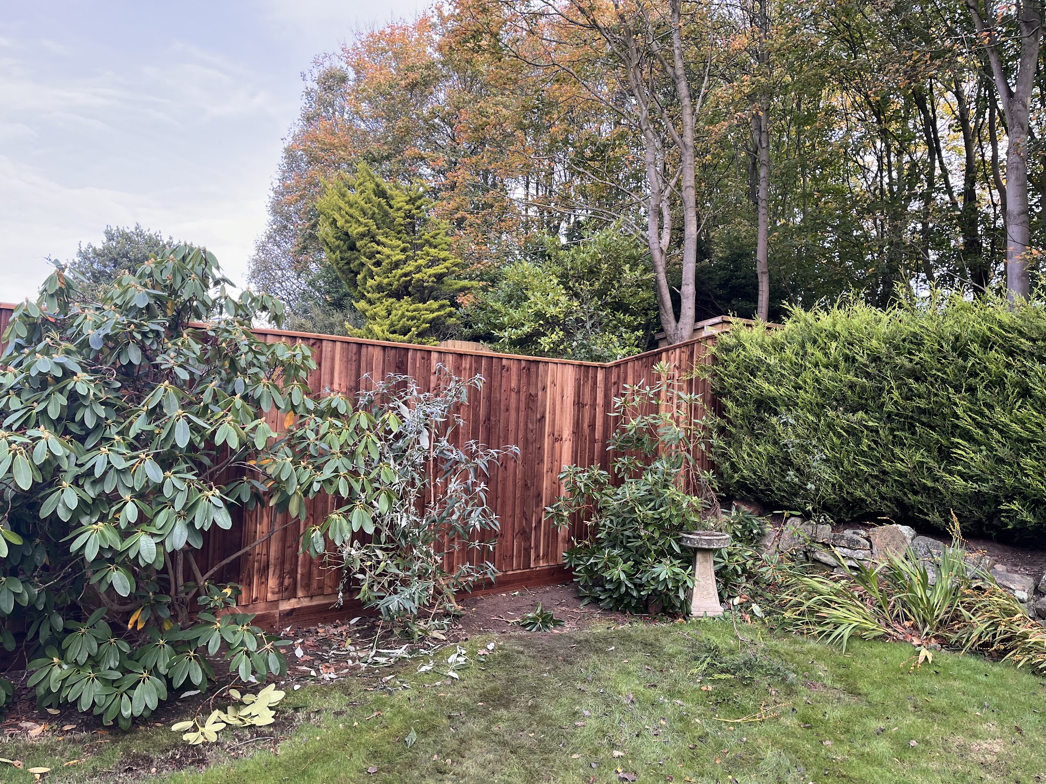 Timber fence panels set behind shrubs and a lawn, with trees beyond