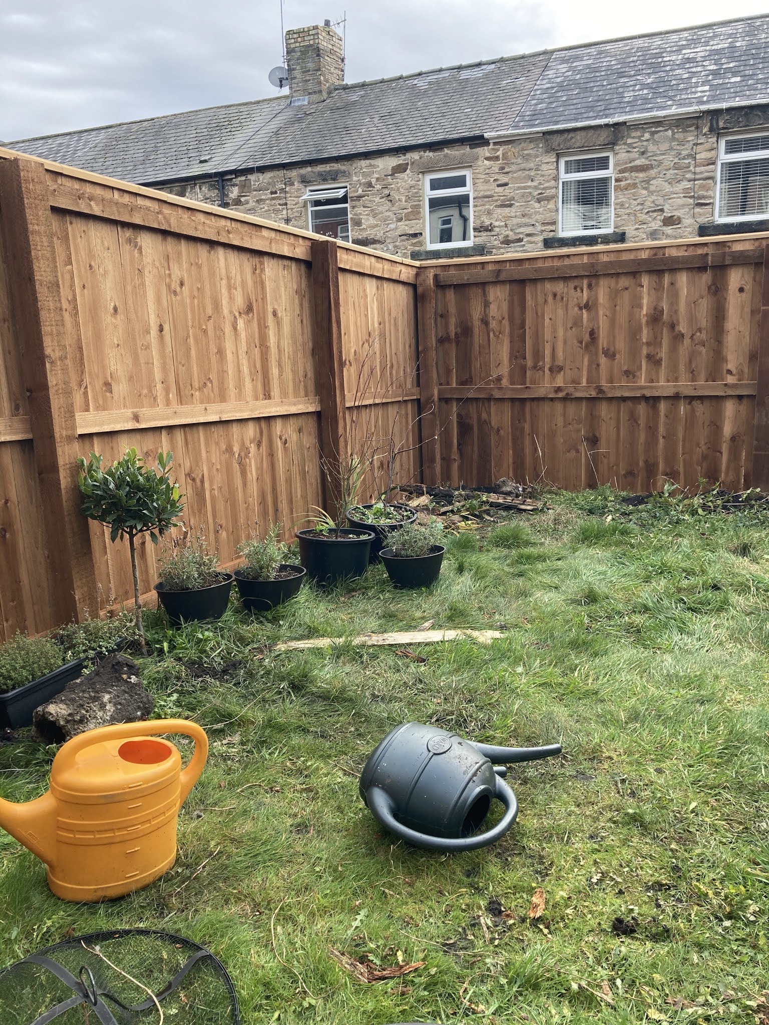 Corner of a newly built close-boarded fence in a back garden with stone terraced houses behind